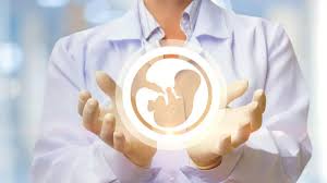 Best IVF Specialist Doctors in Khulna - Doctor Khulna