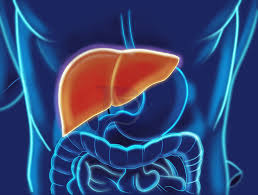 Best Liver Specialist Doctors in Khulna - Doctor Khulna