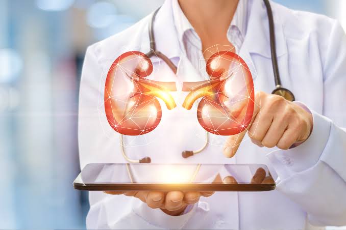 Top 10 Nephrologist Doctors in Khulna - Doctor Khulna