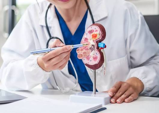 Best Kidney Specialist Doctors in Khulna - Doctor Khulna